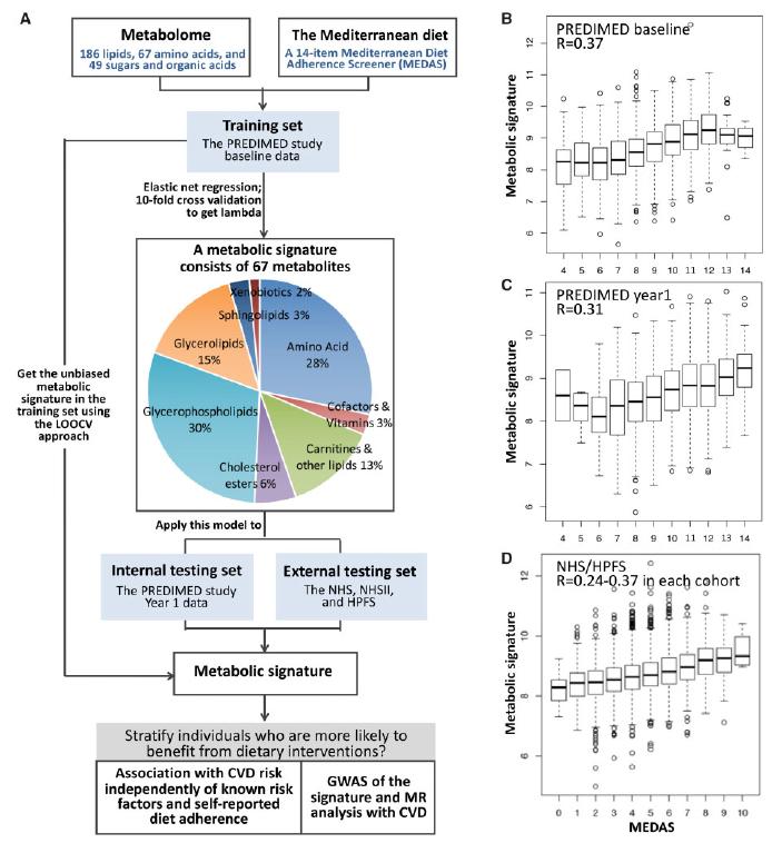 The metabolic signature for adherence to the Mediterranean diet: flow chart for analytic approach and validation.