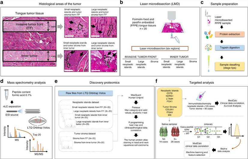 What is Proteomics?