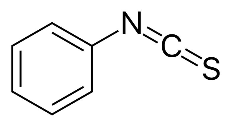 Workflow of Edman degradation