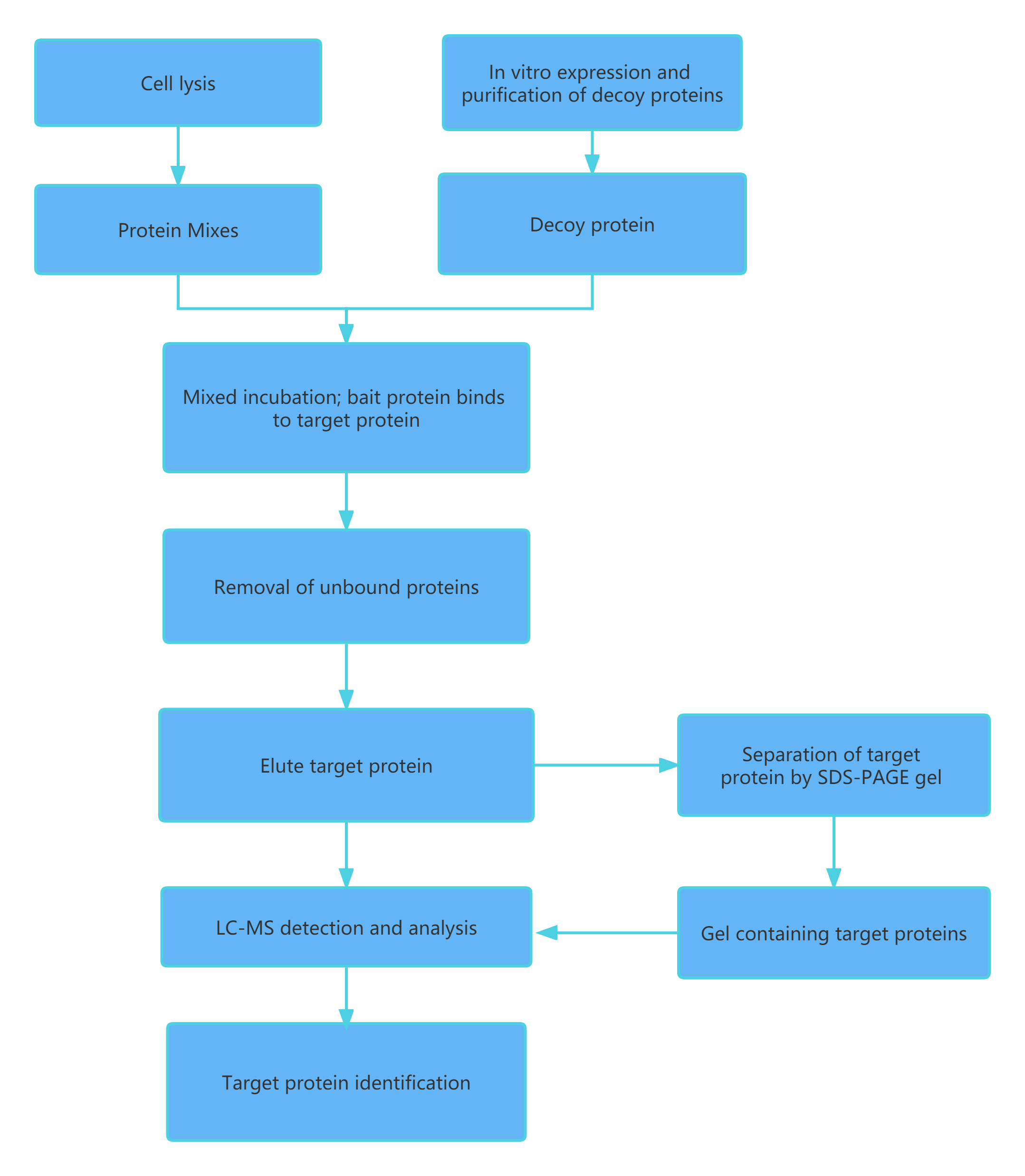 Workflow of GST Pull-down