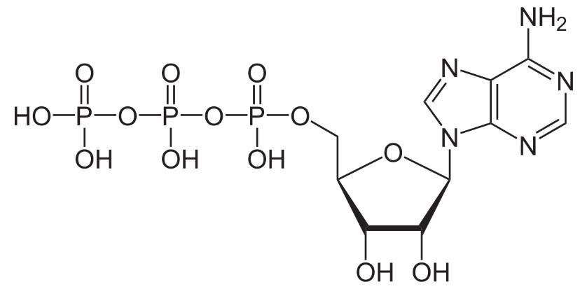 Adenosine Triphosphate Structure