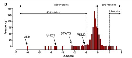 ALK's Impact on Tumor Metabolism: Phosphoproteomics and Metabolomics Insights