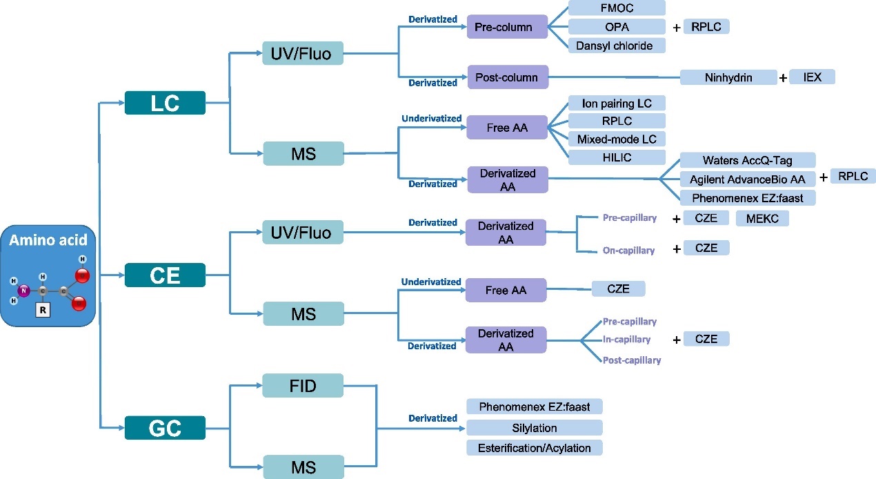 Amino Acid Analysis (AAA)