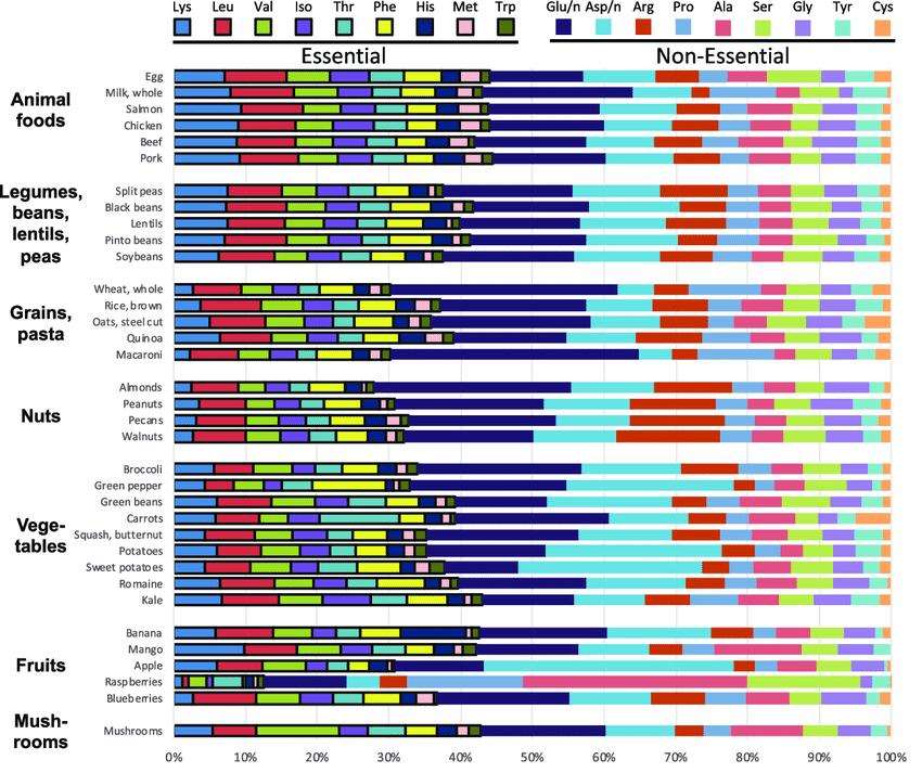 Proportions of amino acids in selected foods across food groups