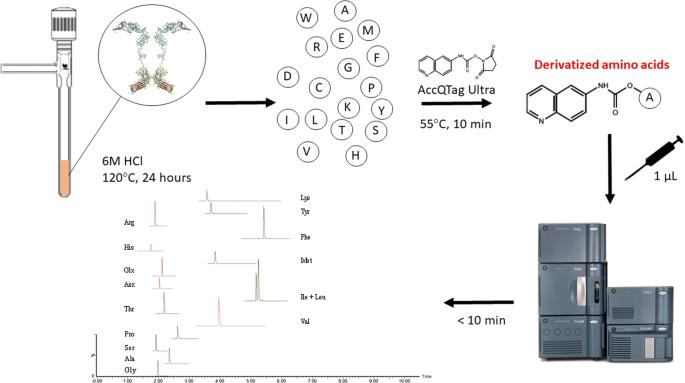 Determination of immunogenic proteins in biopharmaceuticals by UHPLC–MS amino acid analysis