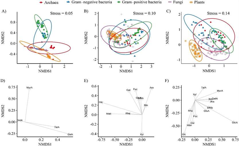 Non-metric multidimensional scaling (NMDS) analysis based on amino sugar contents. Ellipses represent 95% confidence intervals.