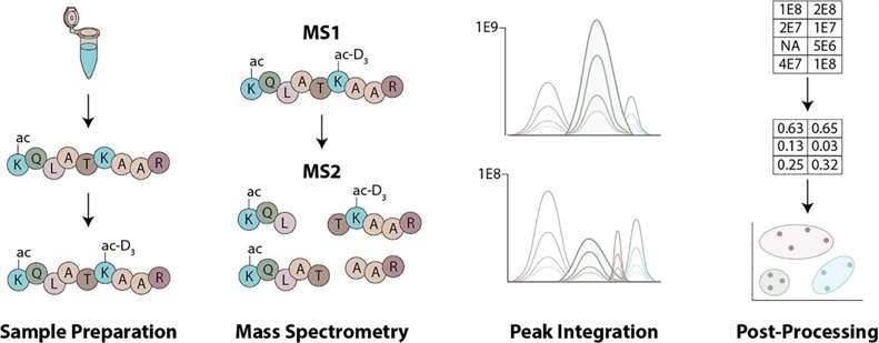 Analysis of histone post-translational modifications by mass spectrometry