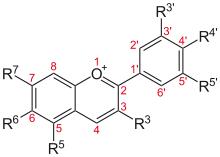 Anthocyanins: Biosynthesis, Functions, and Potential Health Benefits