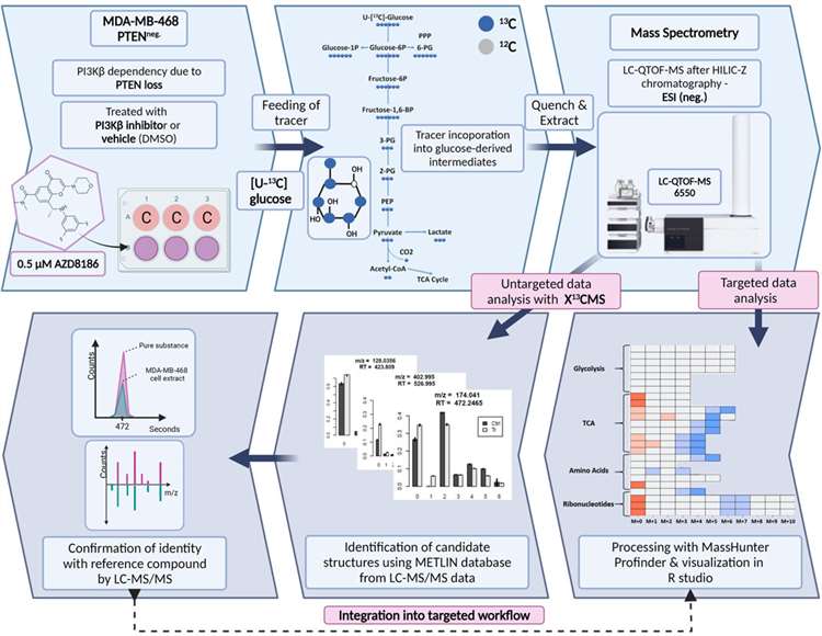 Schematic of SIRM workflow for tracer experiments