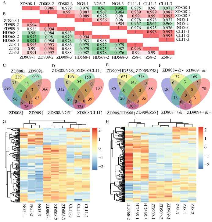 Application of Proteomics in Plant Genetic Breeding