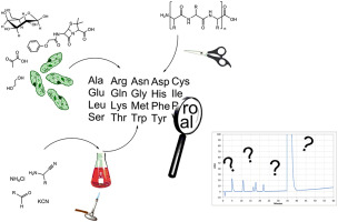 Amino acid analysis for pharmacopoeial purposes