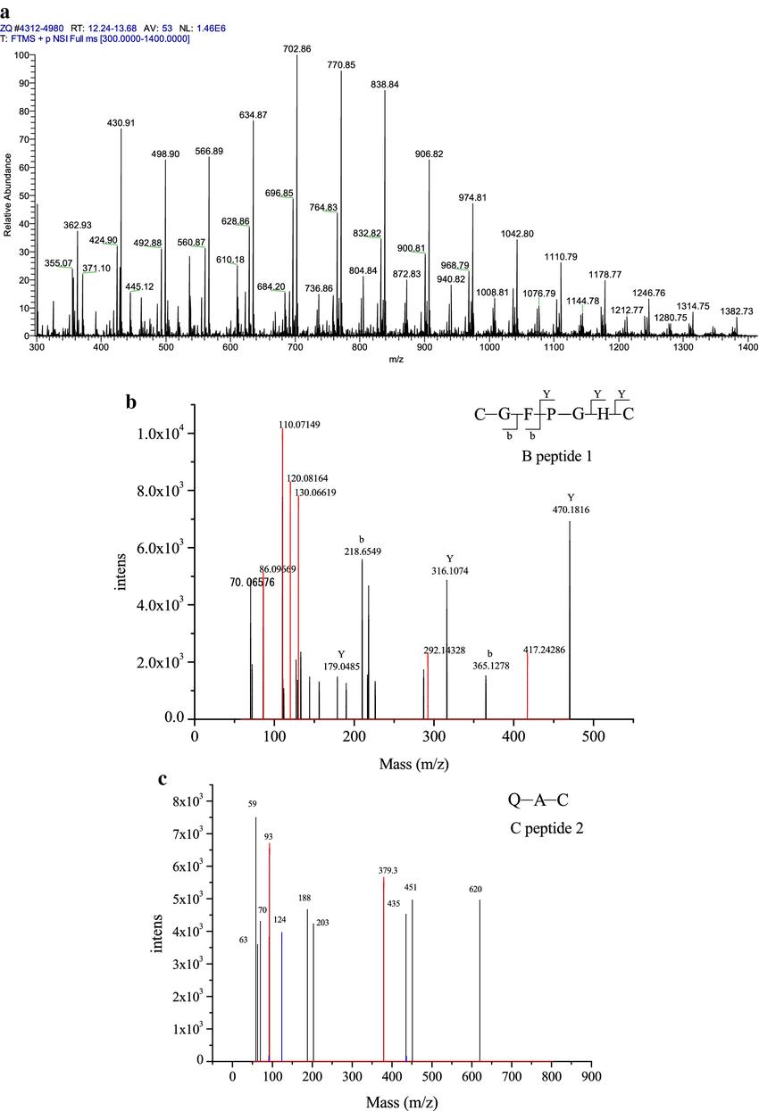 Amino acid sequence identification by LC/MS