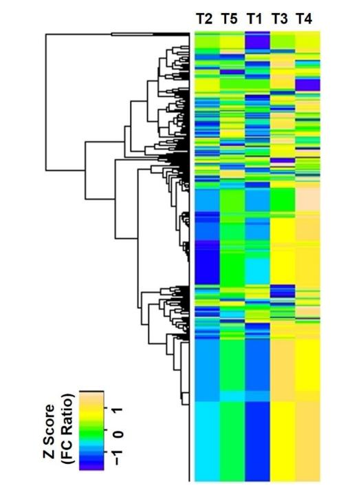 Figure 1. Heatmap analysis of 426 differentially abundant proteins