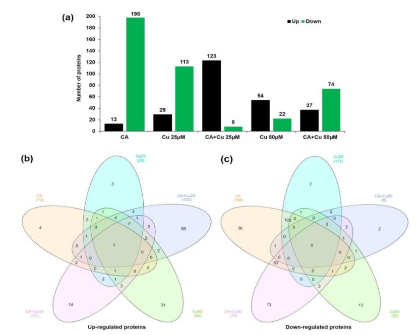 Figure 2. Identification and statistical analysis of Differentially Abundant Proteins (DAPs) in different treatment groups