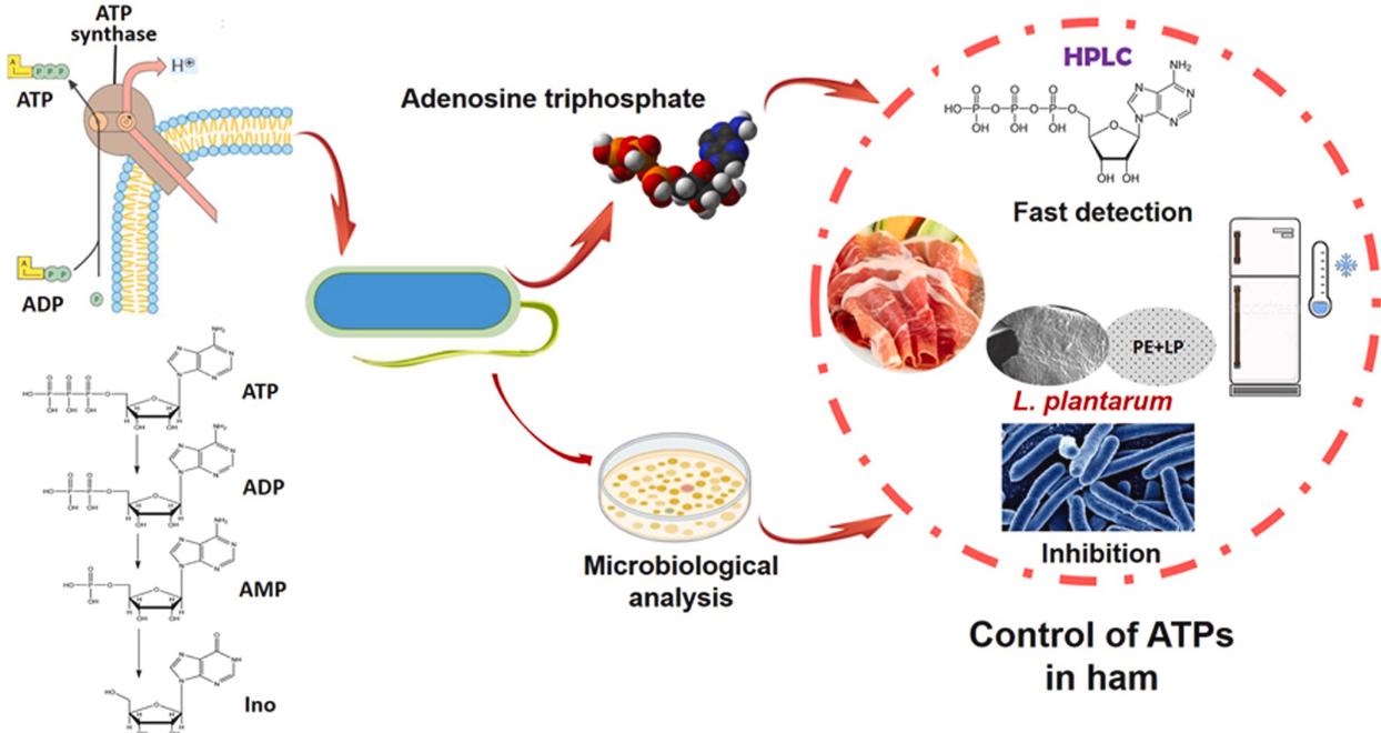 Jing Tao et al,. Food Bioscience 2023