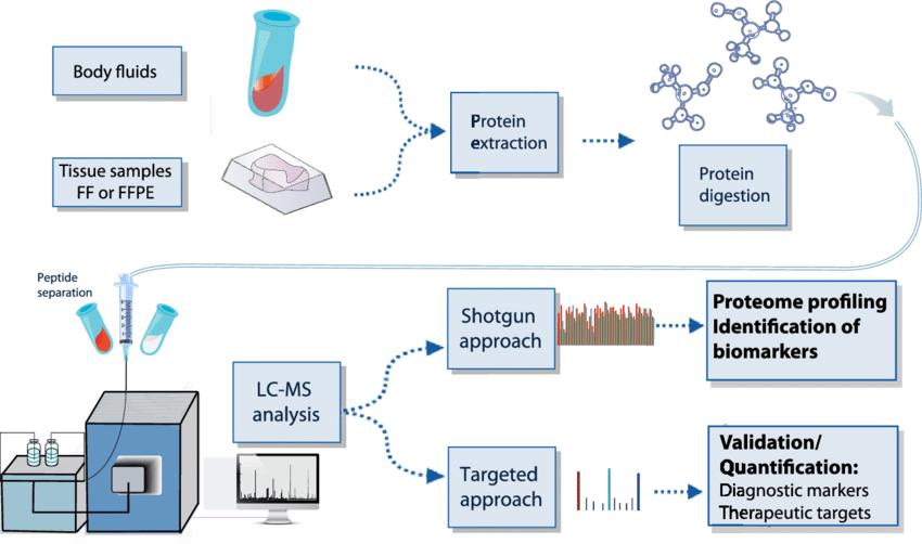 Schematic overview of mass spectrometry (MS) based workflow used for proteome profiling of tissue samples and biological fluids