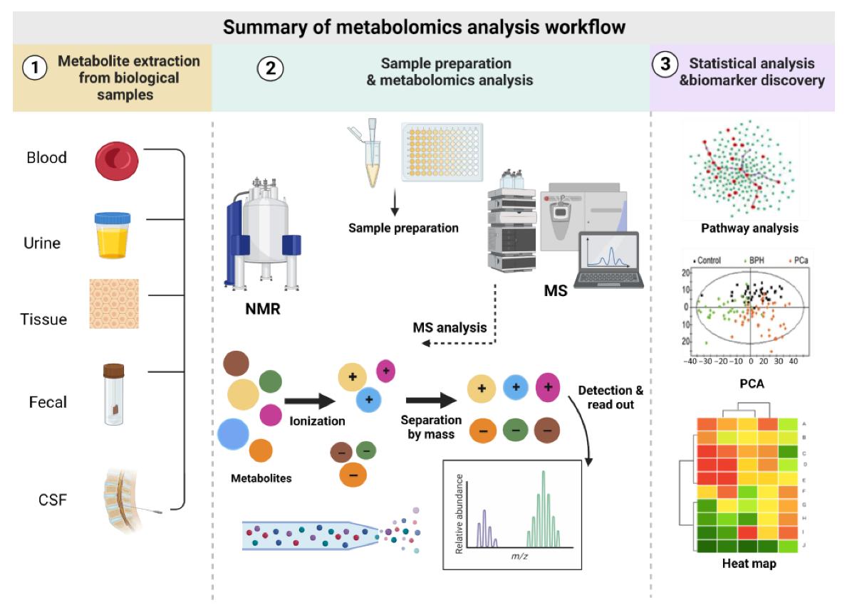 Summary of the metabolomics analysis workflow