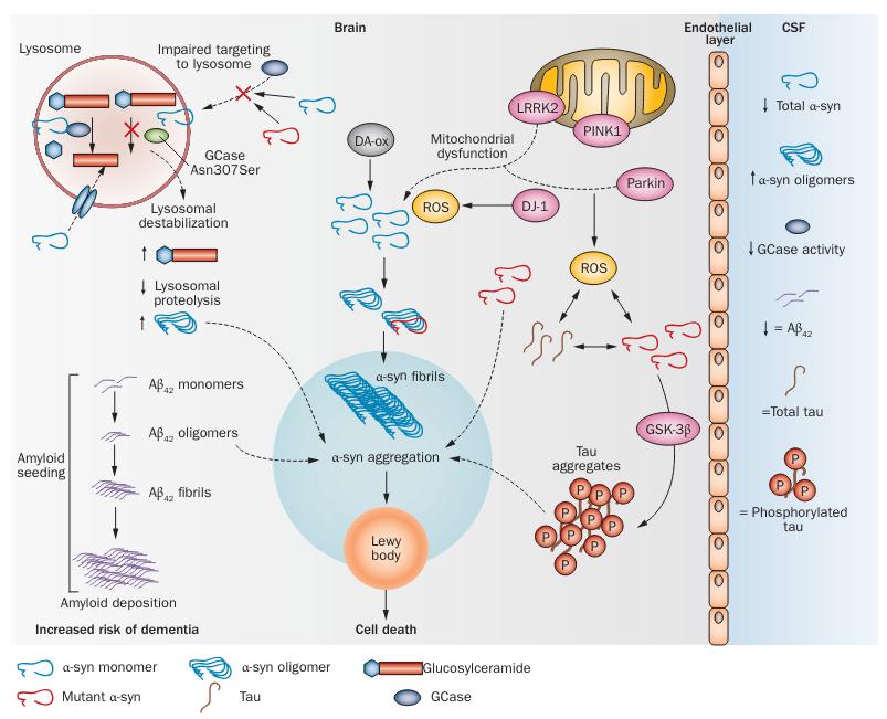 Biological Fluids in Neurologic Diseases