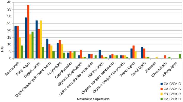 Grouped bar plot indicating enriched metabolite sets analysis in four comparison groups: Oc.C/Os.C, Oc.S/Oc.C, Os.S/Os.C, and Oc.S/Os.S.