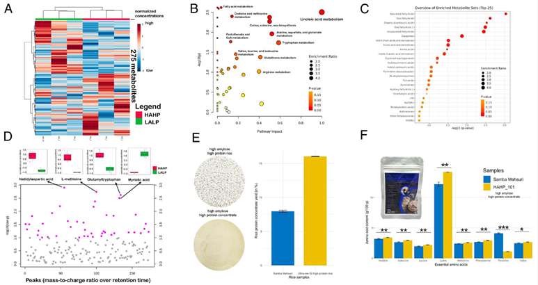 Metabolomic analysis comparing HAHP and LALP groups, highlighting distinct metabolite profiles, pathway enrichments, and protein yield differences.