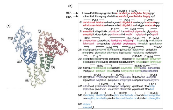 Chemical Cross-linking Mass Spectrometry (CX-MS) Service