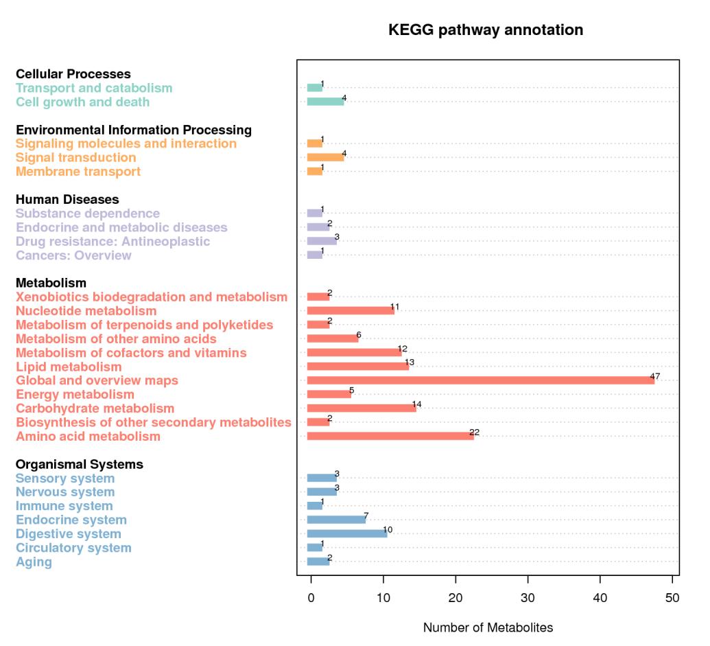 Identification to metabolites in KEGG database class and sub class classification statistics