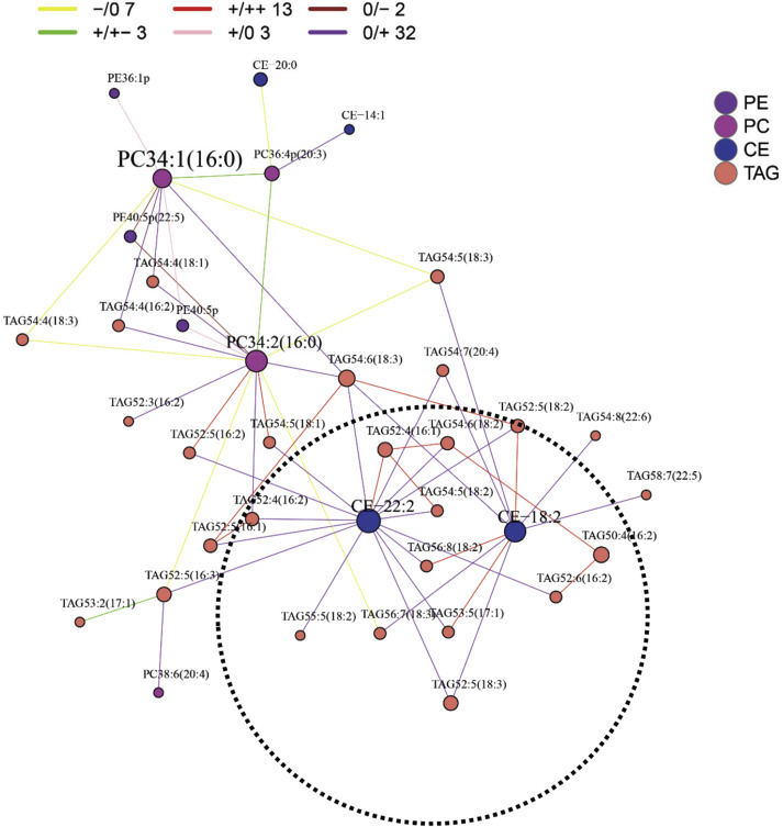 High-coverage lipidomics for functional lipid and pathway analyses