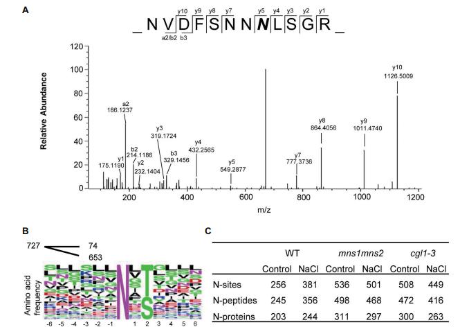 Figure 1. Overview of Identified Glycopeptides and Proteins