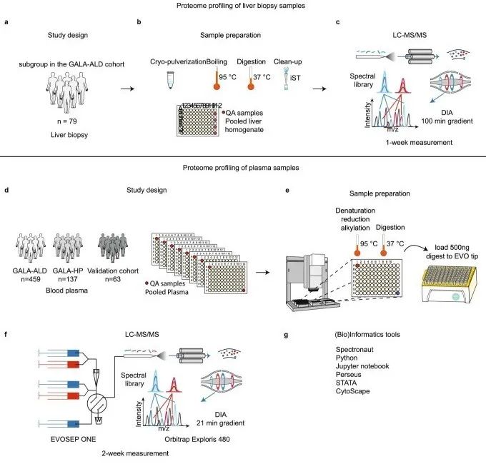 DIA Quantitative Proteomics Enables Precision Medicine Research