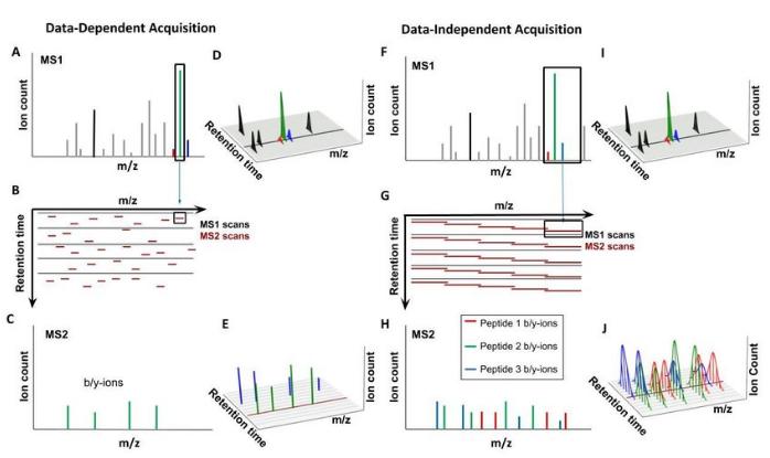 Nishant Pappireddi et al,. ChemBioChem 2019