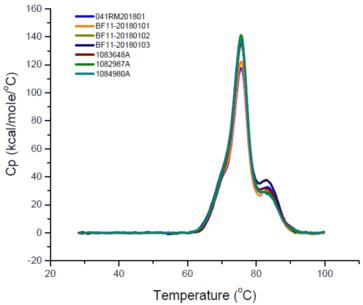 Differential Scanning Calorimetry (DSC) based Analysis Service