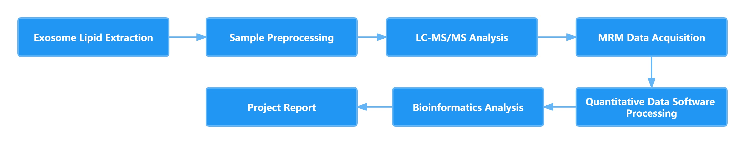 Technical workflow