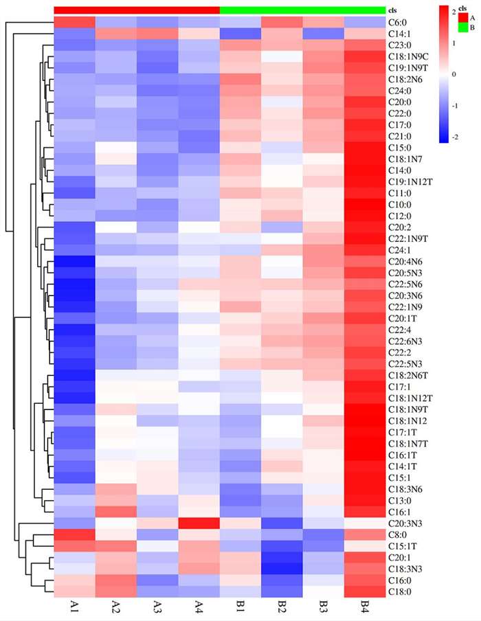 Overall Heatmap