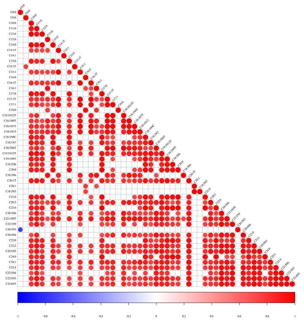 Correlation Heatmap