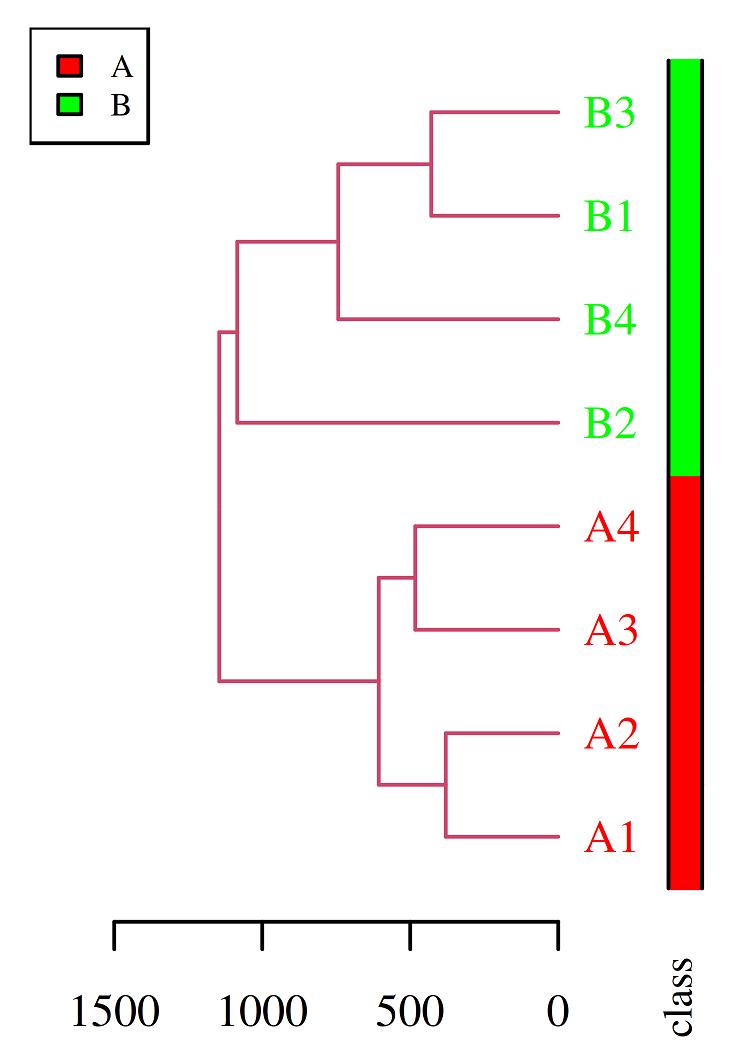 Dendrogram