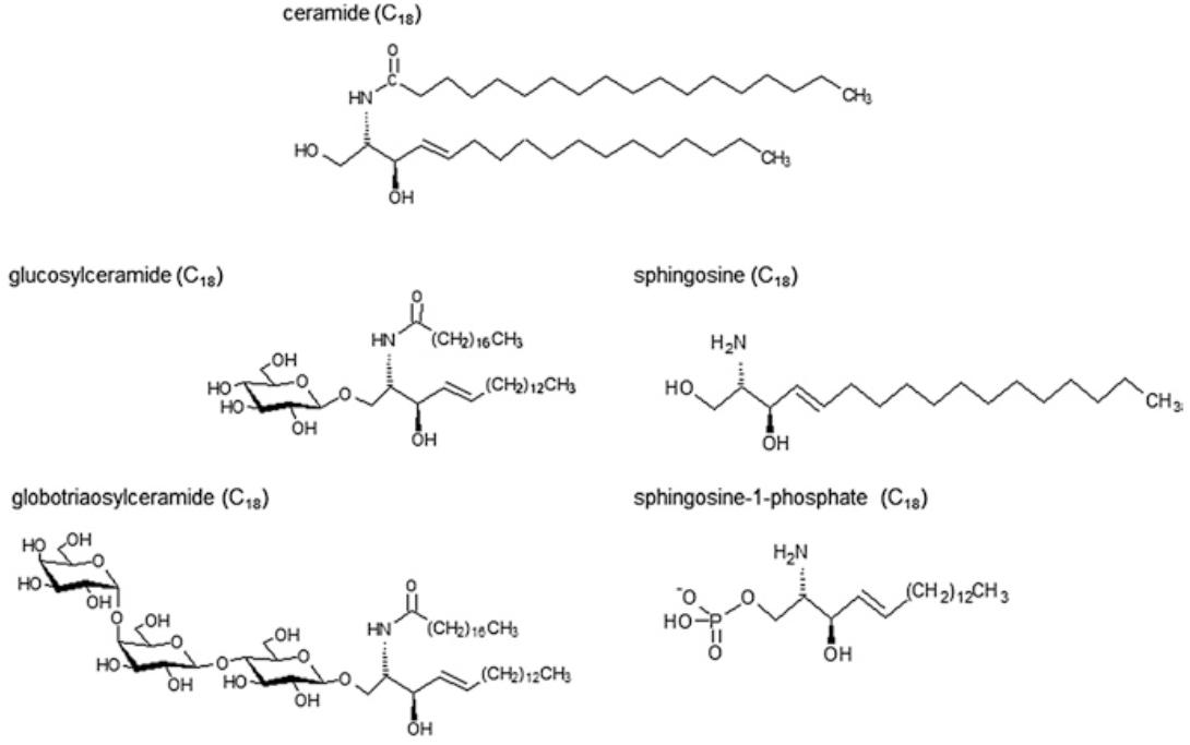 Basic structures of ceramide, glucosylceramide, globotriaosylceramide, sphingosine, and sphingosine 1-phosphate (S1P)