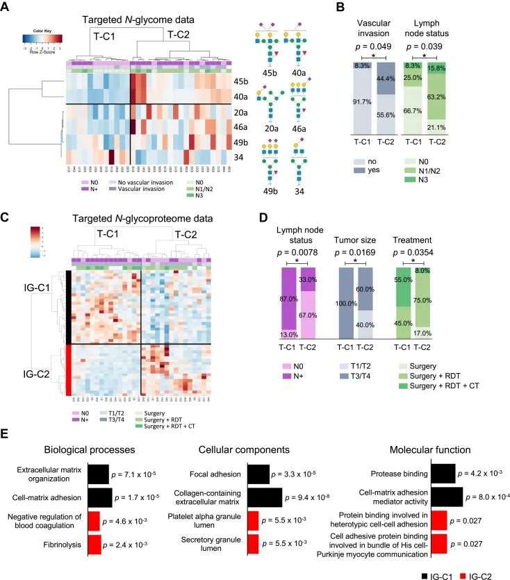 Figure 4: Clustering Analysis and GO Functional Annotation