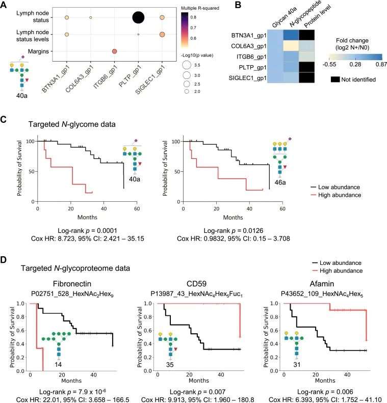 Figure 5: The Association of N-Glycans and N-Glycopeptides with Patient Survival Rates