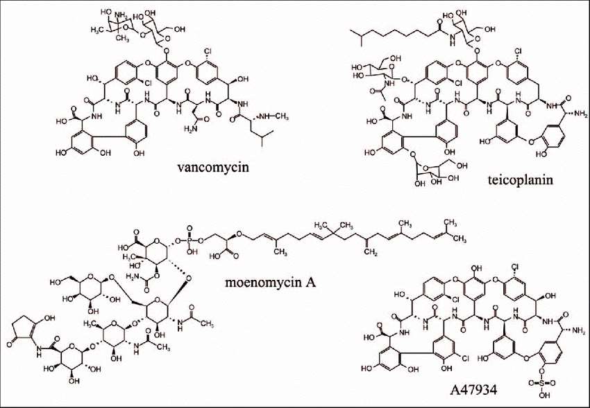 Structures of the glycopeptide antibiotics vancomycin, teicoplanin and A47934 and the cell wall-specifi c, nonglycopeptide antibiotic, moenomycin A