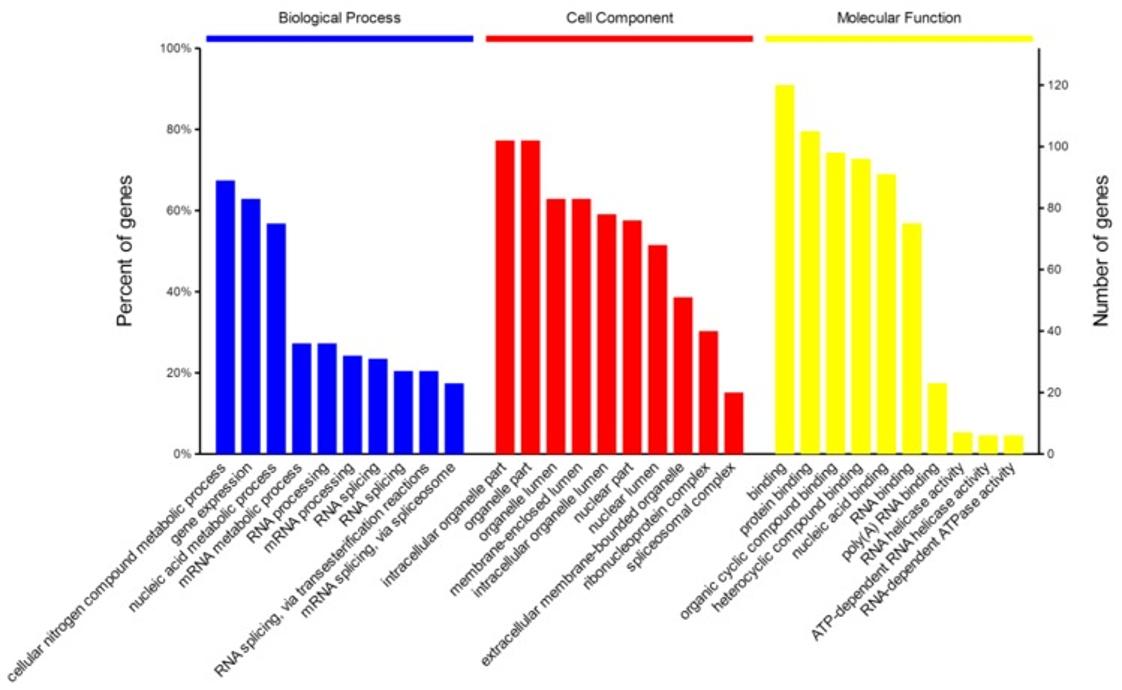 Figure 3. GO annotation of identified NP-related proteins in three categories: biological process (BP), cellular component (CC) and molecular function (MF).