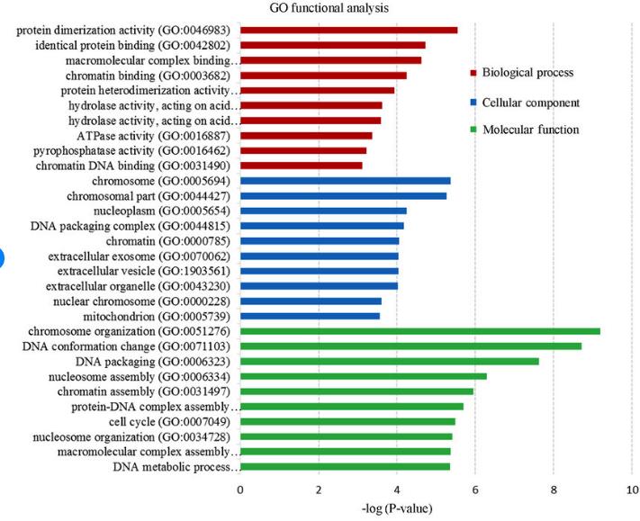 Wei Zhong et al,. Molecular Medicine Reports 2018