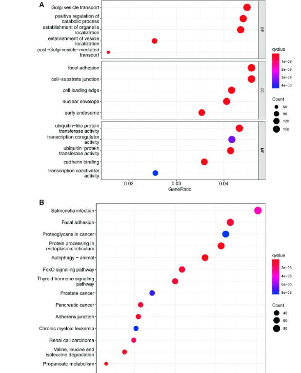 Chiyu Zhang et al,. Frontiers in Molecular Biosciences 2022