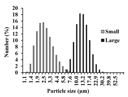 Figure 2. Example of starch granule size distribution from developing wheat endosperm