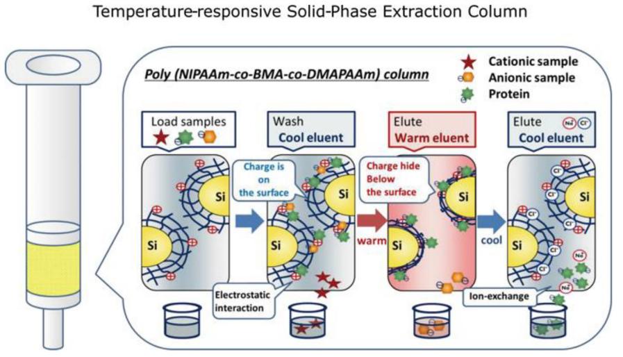 Desalting in Protein Purification