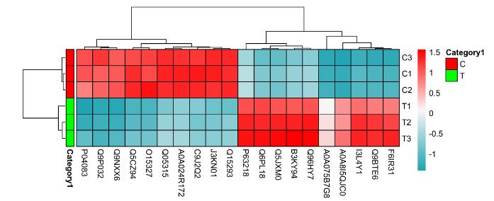 Heat map showing differential protein clustering