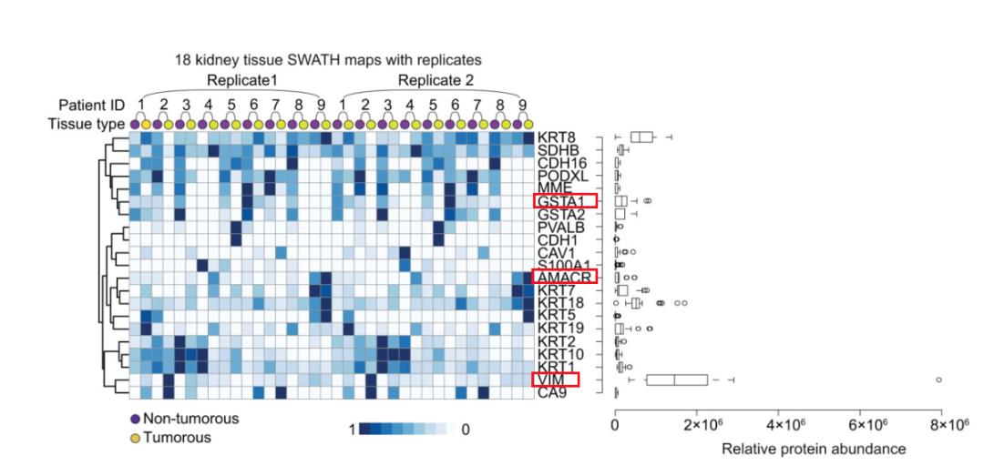 Quantification of RCC Protein Biomarkers by PCT-SWATH Method