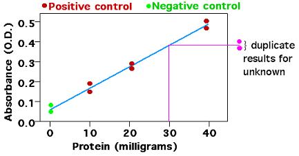 Standard curve example showing protein concentration vs absorbance.