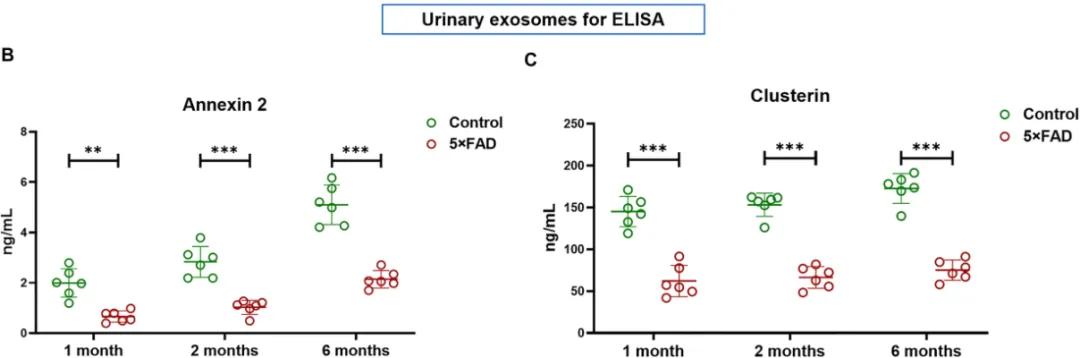 Identifying Urinary Exosomal Biomarkers for Early Alzheimers Detection