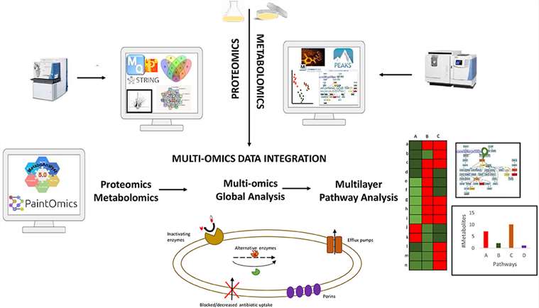 Summary of data integration workflow combining proteomics and metabolomics data for a comprehensive understanding of the biochemical alterations of pathogenic drug resistant bacteria