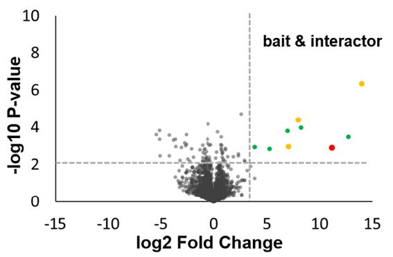 IP-MS Data Analysis